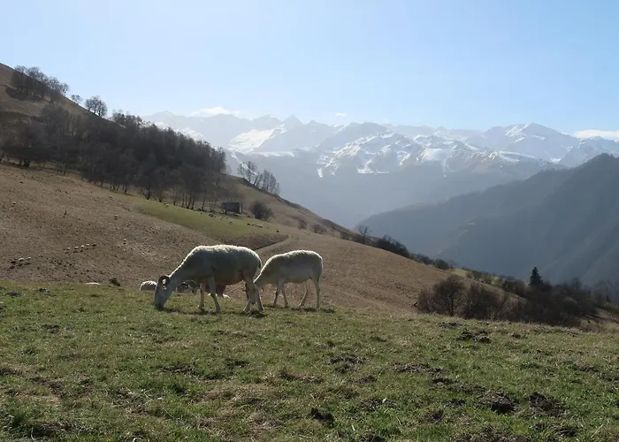 Hyper Centre Lumineux Et Fonctionnel Luchon *