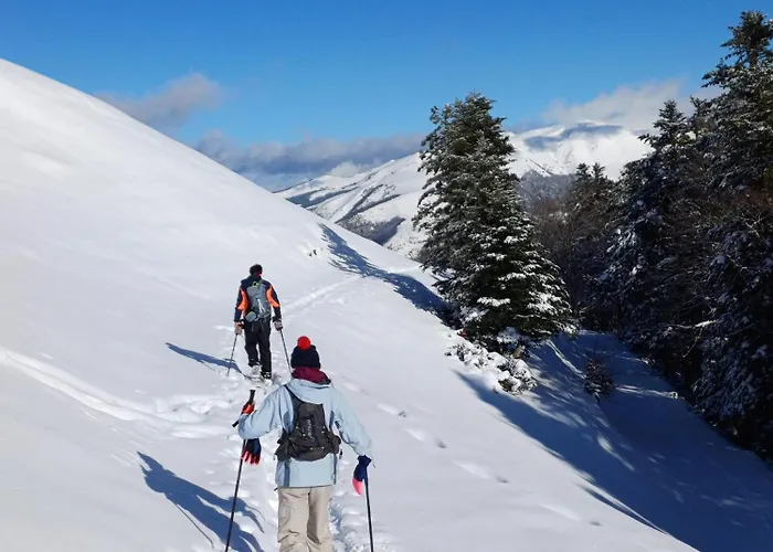 Hyper Centre Lumineux Et Fonctionnel Luchon