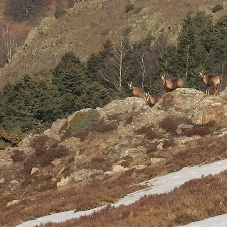 Hyper Centre Lumineux Et Fonctionnel Luchon Apartamento *