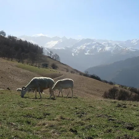 Hyper Centre Lumineux Et Fonctionnel Luchon *