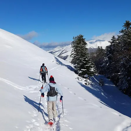 Hyper Centre Lumineux Et Fonctionnel Luchon